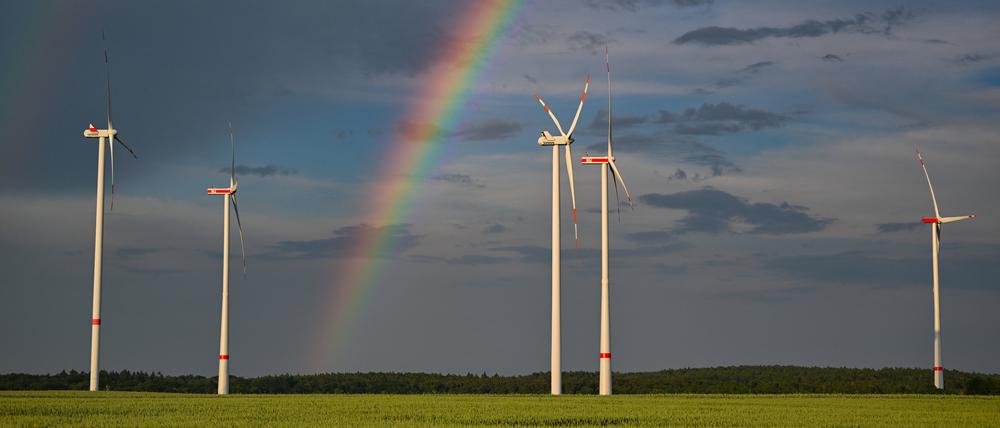Ein Windpark bei Sieversdorf