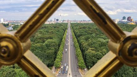 Berlin braucht Bäume für den Klimaschutz – aber wie viel Geld darf dafür ausgegeben werden, ohne andere wichtige Zukunftsinvestitionen zu vernachlässigen?