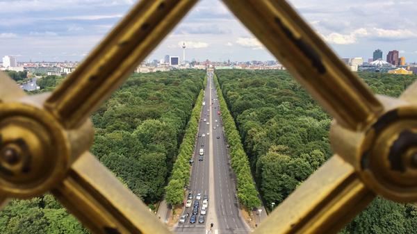 Berlin braucht Bäume für den Klimaschutz – aber wie viel Geld darf dafür ausgegeben werden, ohne andere wichtige Zukunftsinvestitionen zu vernachlässigen?