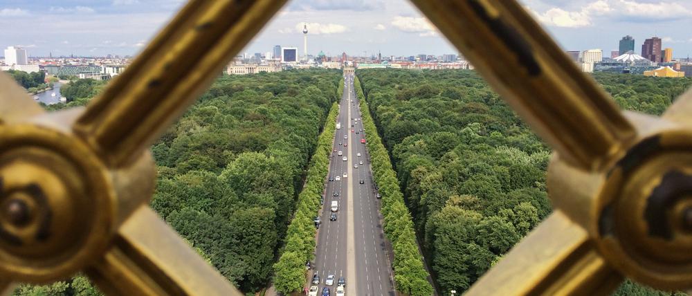 Berlin braucht Bäume für den Klimaschutz – aber wie viel Geld darf dafür ausgegeben werden, ohne andere wichtige Zukunftsinvestitionen zu vernachlässigen?