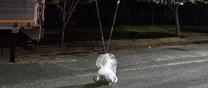 Mutmaßlich nordkoreanische Ballons auf einer Straße in der südkoreanischen Provinz Chungnam.