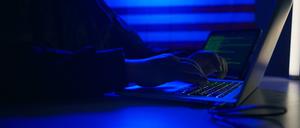 1300 Domains sollen beim Schlag gegen Cyberkriminelle außer Betrieb gesetzt worden sein.
