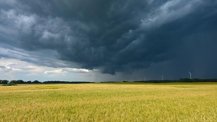 Eine Gewitterzelle mit dunklen Wolken zieht über die Landschaft im Landkreis Märkisch-Oderland in Ostbrandenburg.