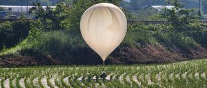 Ein fieser Nachbarschaftsgruß? Nordkorea schickt Ballons mit Müll und Exkrementen in den Süden.