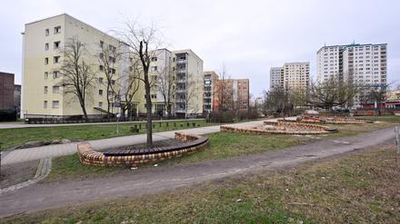 Potsdams Stadtteil Schlaatz