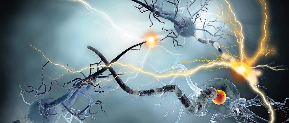 Weltweit leiden sieben bis zehn Millionen Menschen an Parkinson.