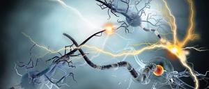 Weltweit leiden sieben bis zehn Millionen Menschen an Parkinson.