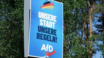 Wahlplakat der AfD in Brandenburg.