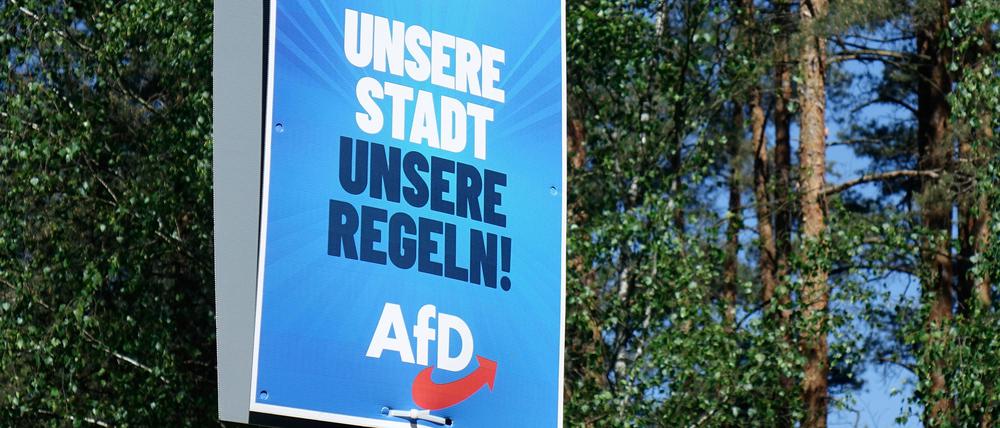 Wahlplakat der AfD in Brandenburg.