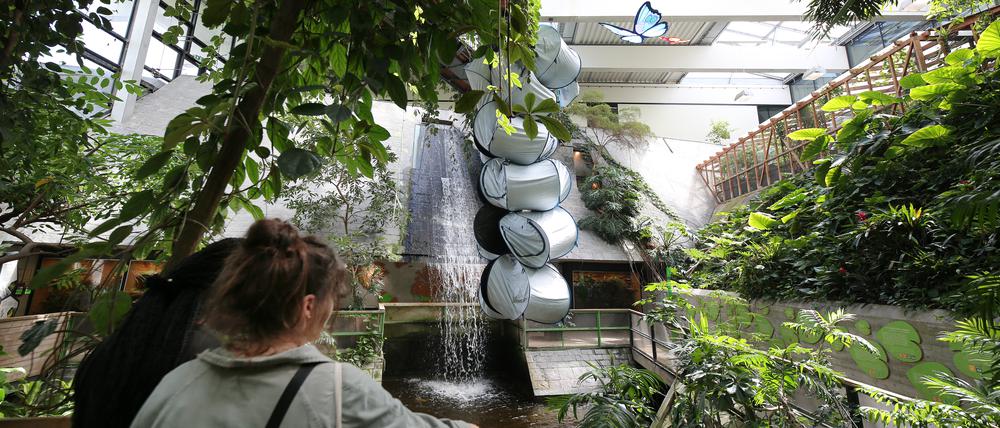 Jenny Altens Arbeit fragt, wie nah der Mensch der Natur wirklich kommt. 