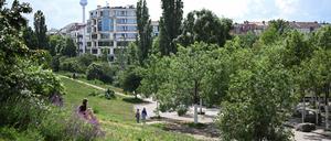 Der Mauerpark in Berlin.