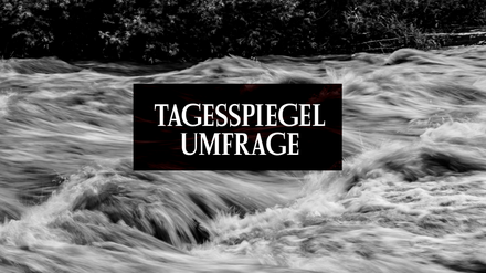 Umfrage Klima