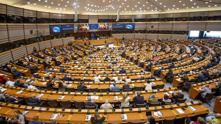 Die Abgeordneten des Europa-Parlaments sind im Plenarsaal zu einer Sitzung zusammengekommen.