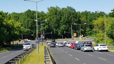 Die TVO soll von der Wilhelm-Spindler-Brücke über die Straße An der Wuhlheide geradeaus in den Wald führen.