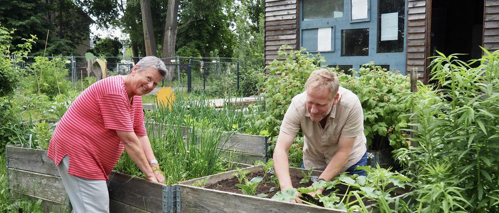 Im Gutsgarten Hellersdorf wird gemeinsam gegärtnert / Copyright: Julia Schmitz