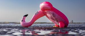 Urlaubsregion Nordsee : St. Peter-Ording im Kreis Nordfriesland