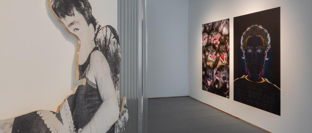 Beitrag von James Richards, vorne eine Arbeit mit Lucas Foletto Celinski, „Novel Pleasures“ und hinten ein Gemeinschaftswerk mit Tolia Astakhishvili, „Our Friends in the Audience“.