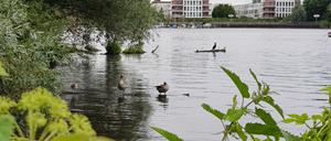 Rummelsburger Bucht an der Halbinsel Stralau.
