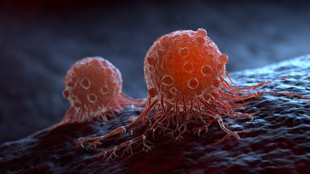 Cancer cells can migrate to other body tissues or organs building metastasis. 3D illustration