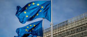 In diesen Tagen wählen die Bürgerinnen und Bürger der 27 EU-Staaten ein neues Europaparlament. 