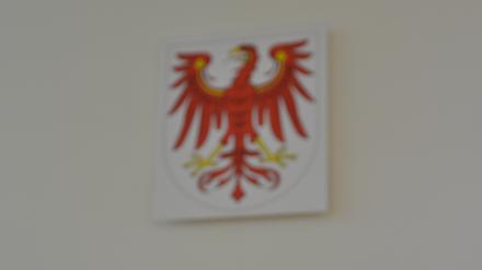 ARCHIVÂ - Akten liegen am 07.05.2014 auf dem Tisch der Vorsitzenden Richterin im Landgericht in Frankfurt (Oder). Brandenburgs Richter und StaatsanwÃ¤lte kÃ¶nnen sich beschweren. Bei einer anonymen Online-Befragung sollen sie bis Ende April ihre Meinung zum Richtergesetz kundtun. Foto: Patrick Pleul/dpa (zu lbnÂ "Dienstrecht fÃ¼r Richter auf dem PrÃ¼fstand - Online-Befragung" vom 15.03.2015) +++ dpa-Bildfunk +++