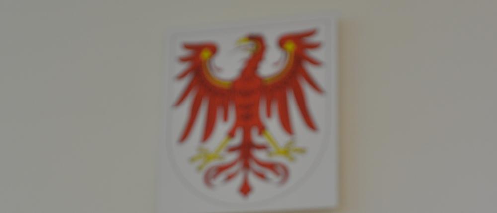 ARCHIV - Akten liegen am 07.05.2014 auf dem Tisch der Vorsitzenden Richterin im Landgericht in Frankfurt (Oder). Brandenburgs Richter und Staatsanwälte können sich beschweren. Bei einer anonymen Online-Befragung sollen sie bis Ende April ihre Meinung zum Richtergesetz kundtun. Foto: Patrick Pleul/dpa (zu lbn "Dienstrecht für Richter auf dem Prüfstand - Online-Befragung" vom 15.03.2015) +++ dpa-Bildfunk +++