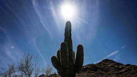Bei einer historisch frühen Hitzewelle im Westen der USA sind neue Rekordtemperaturen erreicht worden. 