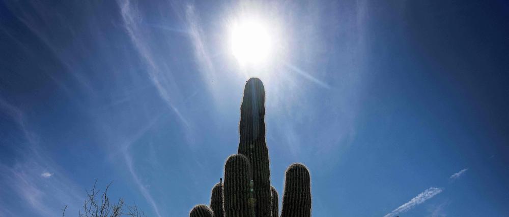 Bei einer historisch frühen Hitzewelle im Westen der USA sind neue Rekordtemperaturen erreicht worden. 
