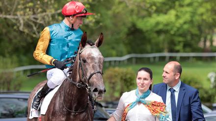 Jockey Martin Seidl und Stute Erle sind das favorisierte Duo beim Diana-Trial.