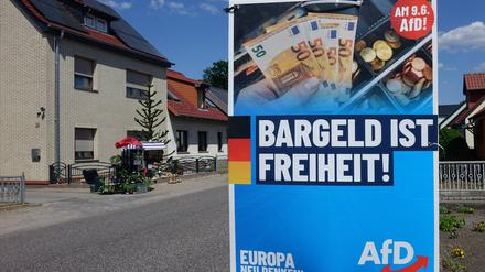 Wahlplakat der AfD in Brandenburg 