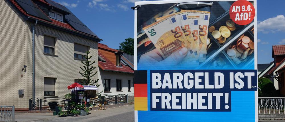 Wahlplakat der AfD in Brandenburg.