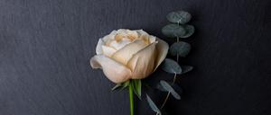 Eine Rose zum Abschied.  Dafür sollte man nicht auf ein Dankeschön lauern.