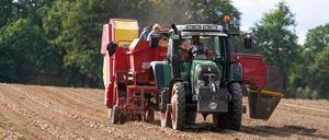 Ein Landwirt erntet mit einem Roder Kartoffeln auf einem Feld.