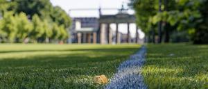 Riesige Kunstrasen-Fanmeile mit Public Viewing zur Fußball-Europameisterschaft 2024 im Berliner Tiergarten vor dem Brandenburger Tor. 
