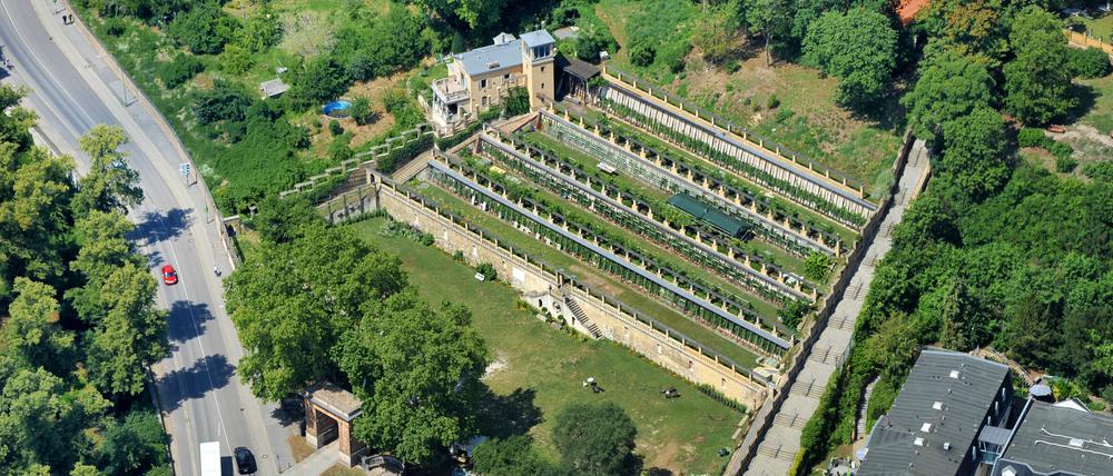 Potsdam, Winzerberg an der Schopenhauerstraße nahe dem Park SanssouciLuftbild, Aufnahmetag: 18.07.2019