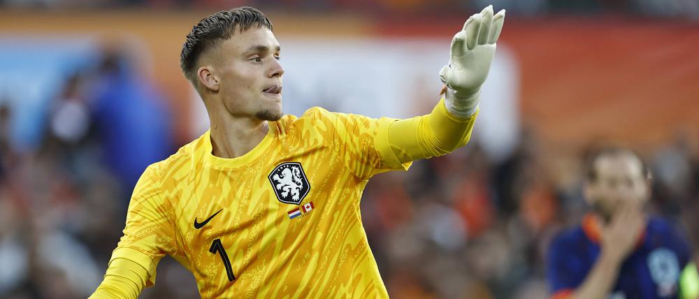 Bart Verbruggen von Brighton & Hove Albion hat im vergangenen Herbst sein Debüt in der Elftal gefeiert. Es gilt als äußerst talentierter Torhüter.