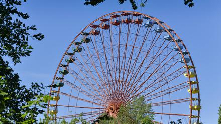Riesenrad, Spreepark, Plänterwald, Treptow, Treptow-Köpenick, Berlin, Deutschland Foto: imago images / Schöning