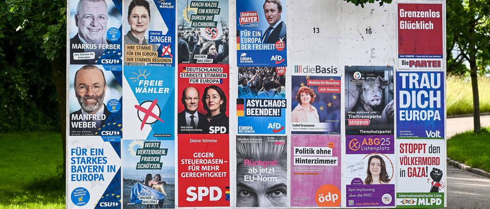 Plakate zur Europawahl: Zwei von drei Regierungsparteien haben Mitglieder verloren.