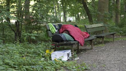 Auf dem Tiergarten dürfte besondere Aufmerksamkeit liegen, schließlich befindet sich in unmittelbarer Nähe die Fanmeile.