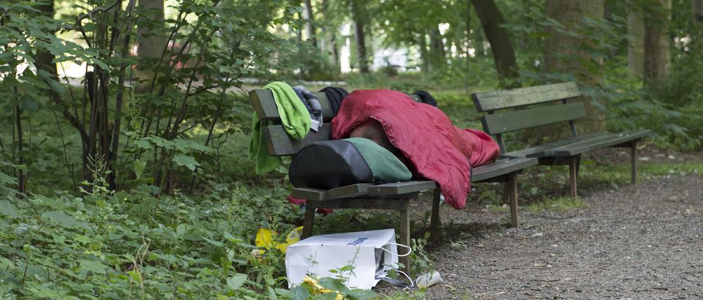 Auf dem Tiergarten dürfte besondere Aufmerksamkeit liegen, schließlich befindet sich in unmittelbarer Nähe die Fanmeile.