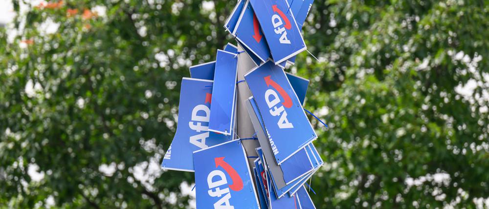 Wahlplakate der AfD hängen in der Innenstadt an einem Lichtmast.