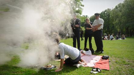 Grillen im Großen Tiergarten, 2009