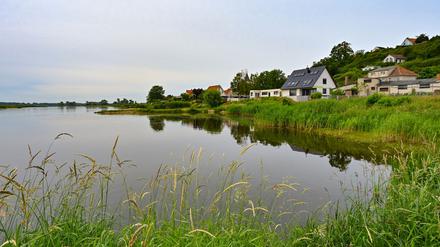 Der deutsch-polnische Grenzfluss Oder.