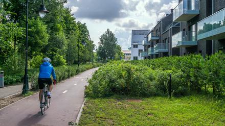 Die Stadtverwaltung von Vilnius baut die Radwege seit Jahren systematisch aus, wie hier im Stadtteil Paupys.