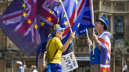 Protest gegen den EU-Austritt in London.