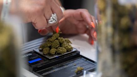 Eine Verkäuferin wiegt auf der Hanfmesse «Mary Jane» CBD-Blüten auf einer Waage.