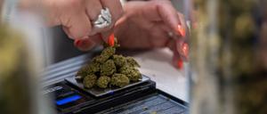 Eine Verkäuferin wiegt auf der Hanfmesse «Mary Jane» CBD-Blüten auf einer Waage.