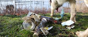 Das Foto zeigt eine Frühjahrsputzaktion am Havelufer nahe dem Schillerplatz. Etwa 25 Anwohner und ein Hund waren beteiligt.