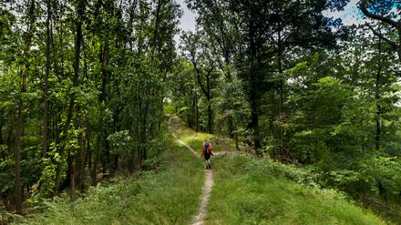 Brandenburg hat Wanderstrecken aller Art zu bieten. Auch Extremsportler finden hier die passende Route.