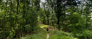 Brandenburg hat Wanderstrecken aller Art zu bieten. Auch Extremsportler finden hier die passende Route.
